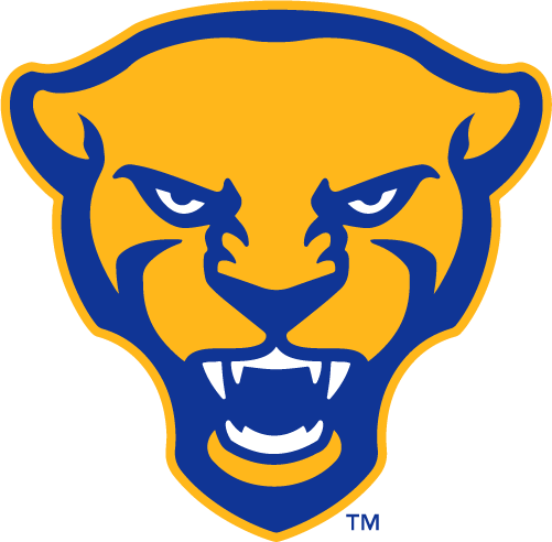 Pittsburgh Panthers 2019-Pres Alternate Logo diy iron on heat transfer